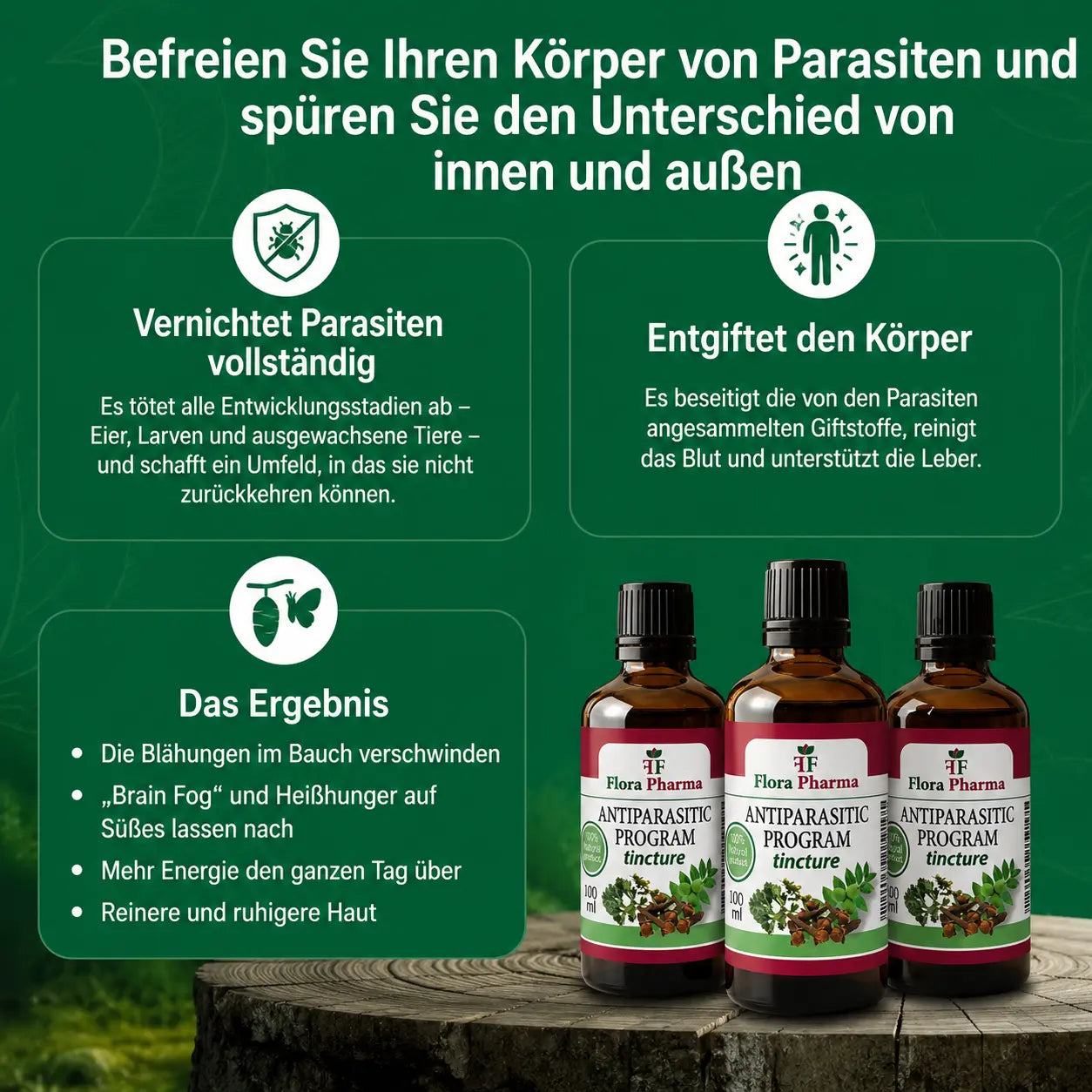 Antiparasitäres Programm – Tinktur 100 ml – tötet Parasiten, Bakterien und Pilze