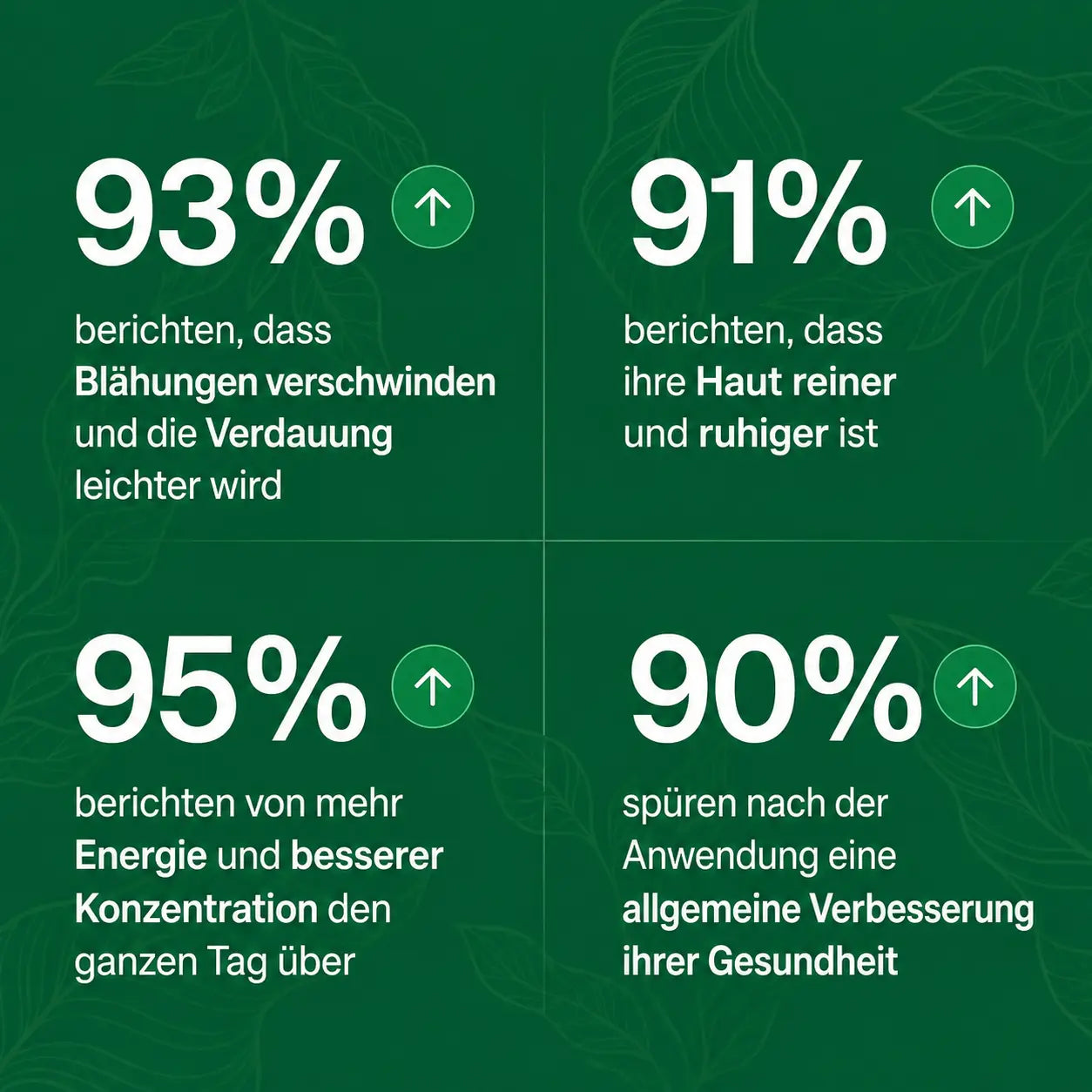 Antiparasitäres Programm – Tinktur 100 ml – tötet Parasiten, Bakterien und Pilze
