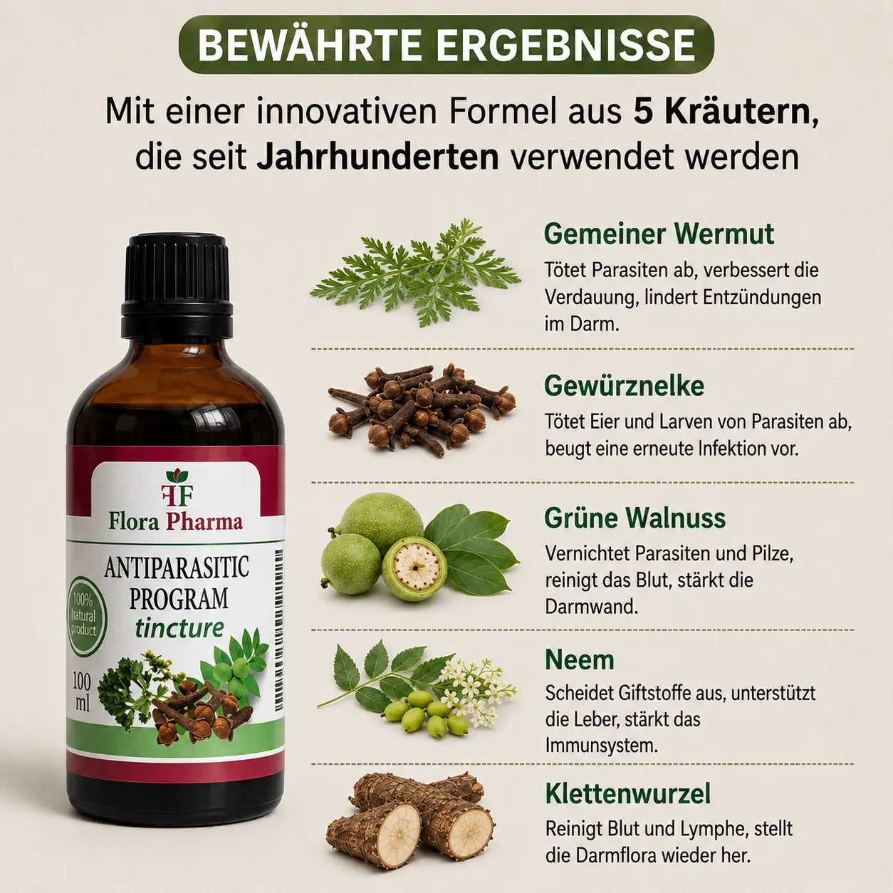 Antiparasitäres Programm – Tinktur 100 ml – tötet Parasiten, Bakterien und Pilze