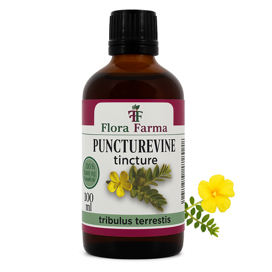 Tribulus Terrestris – Tinktur 100 ml – für Kraft, Energie und Libido